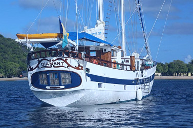 Diamant Ship Stats & Information- Island Windjammers Diamant Cruises:  Travel Weekly